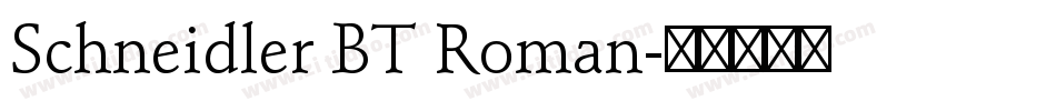 Schneidler BT Roman字体转换